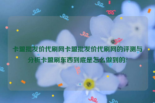 卡盟批发价代刷网卡盟批发价代刷网的评测与分析卡盟刷东西到底是怎么做到的?