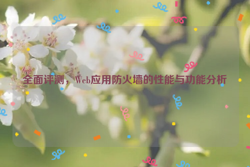 全面评测，Web应用防火墙的性能与功能分析