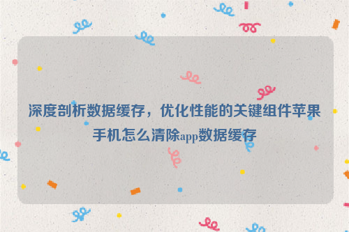 深度剖析数据缓存，优化性能的关键组件苹果手机怎么清除app数据缓存