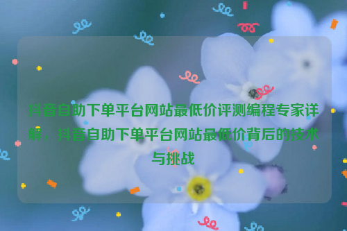 抖音自助下单平台网站最低价评测编程专家详解，抖音自助下单平台网站最低价背后的技术与挑战