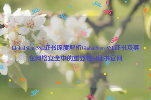 GlobalSign SSL证书深度解析GlobalSign SSL证书及其在网络安全中的重要性ssl证书官网