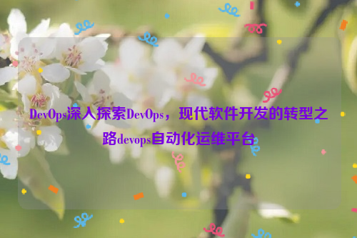 DevOps深入探索DevOps，现代软件开发的转型之路devops自动化运维平台