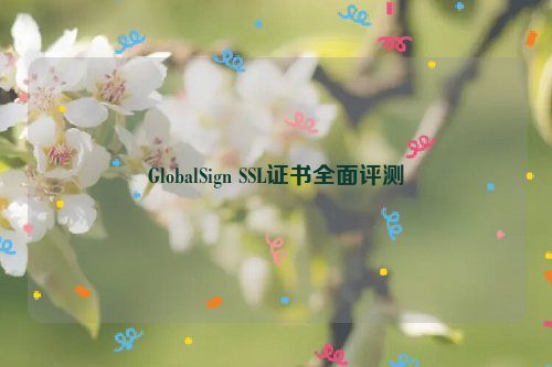 GlobalSign SSL证书全面评测