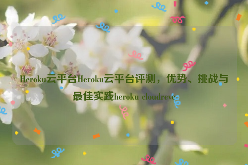 Heroku云平台Heroku云平台评测，优势、挑战与最佳实践heroku cloudreve