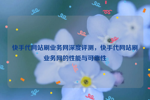 快手代网站刷业务网深度评测，快手代网站刷业务网的性能与可靠性