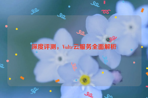 深度评测，Vultr云服务全面解析