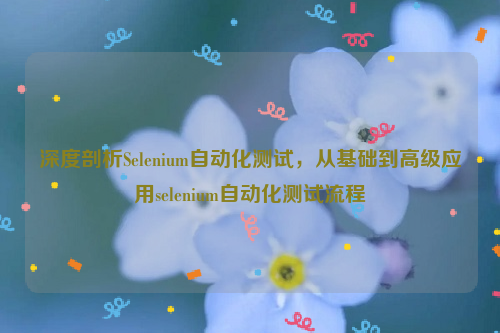 深度剖析Selenium自动化测试，从基础到高级应用selenium自动化测试流程