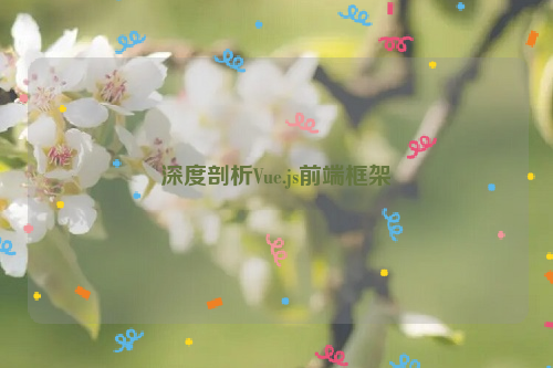 深度剖析Vue.js前端框架