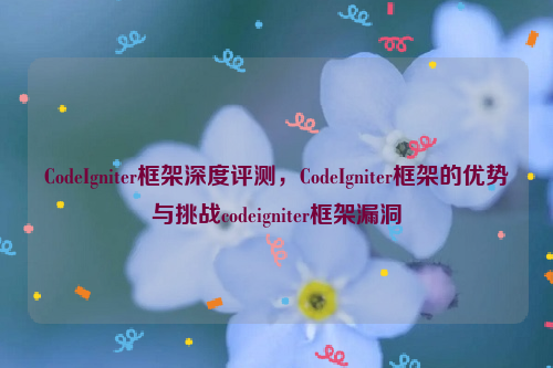 CodeIgniter框架深度评测，CodeIgniter框架的优势与挑战codeigniter框架漏洞