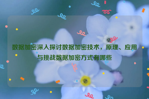 数据加密深入探讨数据加密技术，原理、应用与挑战数据加密方式有哪些