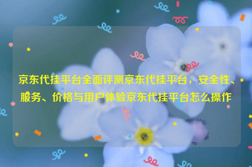 京东代挂平台全面评测京东代挂平台，安全性、服务、价格与用户体验京东代挂平台怎么操作