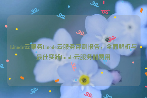 Linode云服务Linode云服务评测报告，全面解析与最佳实践linode云服务器费用