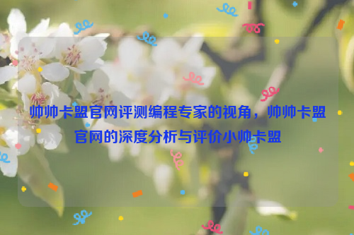 帅帅卡盟官网评测编程专家的视角，帅帅卡盟官网的深度分析与评价小帅卡盟