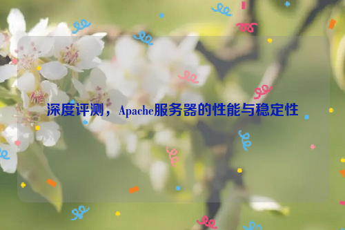 深度评测，Apache服务器的性能与稳定性