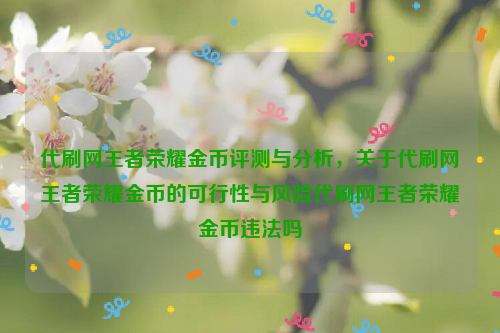 代刷网王者荣耀金币评测与分析，关于代刷网王者荣耀金币的可行性与风险代刷网王者荣耀金币违法吗