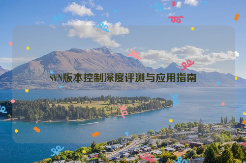 SVN版本控制深度评测与应用指南