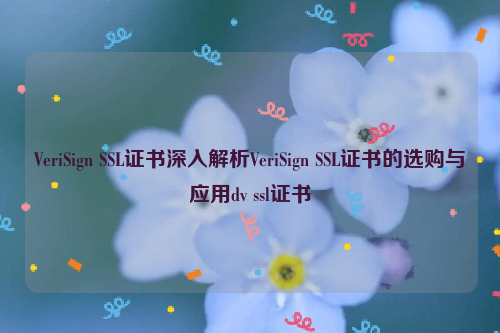 VeriSign SSL证书深入解析VeriSign SSL证书的选购与应用dv ssl证书