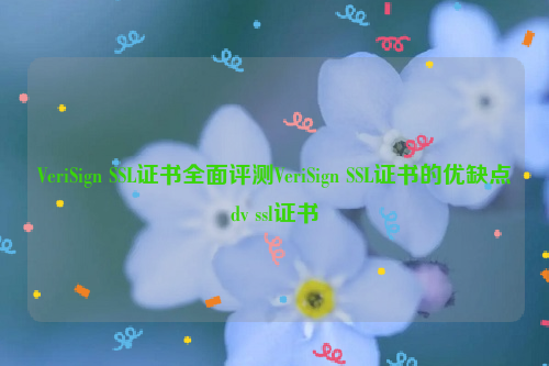 VeriSign SSL证书全面评测VeriSign SSL证书的优缺点dv ssl证书