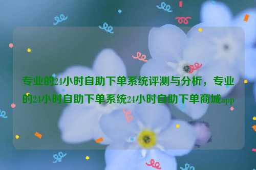 专业的24小时自助下单系统评测与分析，专业的24小时自助下单系统24小时自助下单商城app