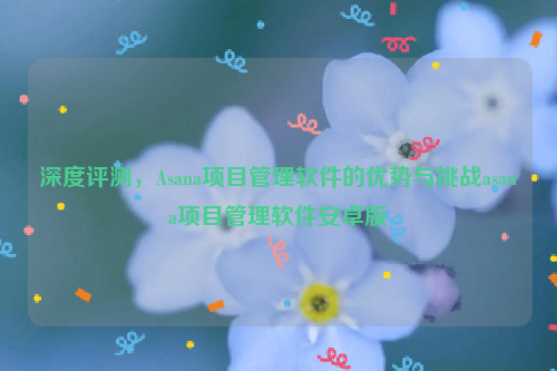 深度评测，Asana项目管理软件的优势与挑战asana项目管理软件安卓版