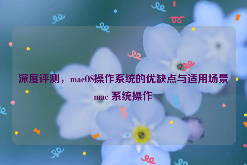 深度评测，macOS操作系统的优缺点与适用场景mac 系统操作