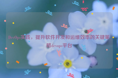 DevOps实践，提升软件开发和运维效率的关键策略devops平台