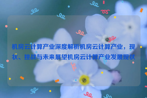 机房云计算产业深度解析机房云计算产业，现状、挑战与未来展望机房云计算产业发展现状