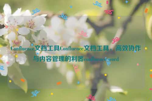 Confluence文档工具Confluence文档工具，高效协作与内容管理的利器confluence word