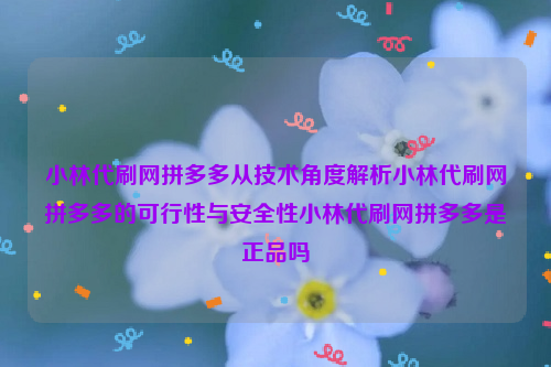 小林代刷网拼多多从技术角度解析小林代刷网拼多多的可行性与安全性小林代刷网拼多多是正品吗