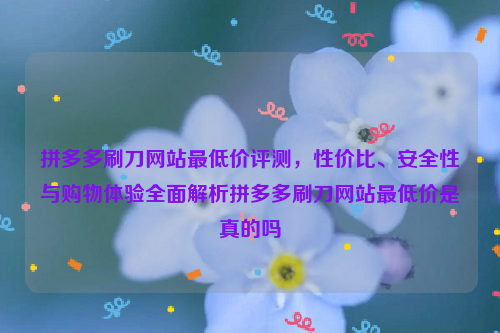 拼多多刷刀网站最低价评测，性价比、安全性与购物体验全面解析拼多多刷刀网站最低价是真的吗