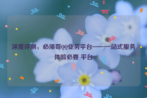 深度评测，必须哥QQ业务平台——一站式服务体验必要 平台