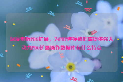 深度剖析PDO扩展，为PHP连接数据库提供强大动力PDO扩展操作数据库有什么特点