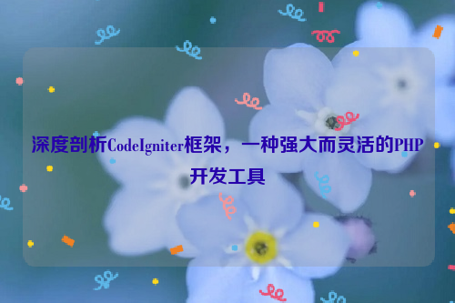 深度剖析CodeIgniter框架，一种强大而灵活的PHP开发工具