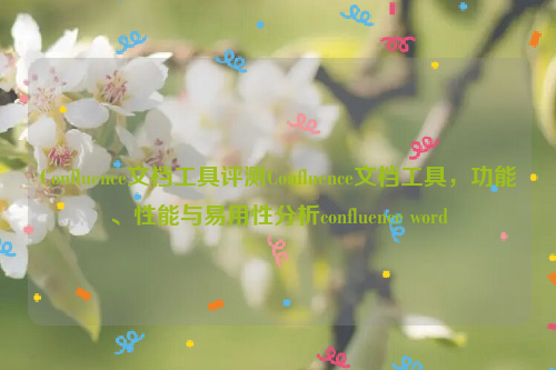 Confluence文档工具评测Confluence文档工具，功能、性能与易用性分析confluence word