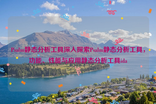 Psalm静态分析工具深入探索Psalm静态分析工具，功能、性能与应用静态分析工具ida