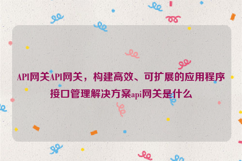 API网关API网关，构建高效、可扩展的应用程序接口管理解决方案api网关是什么