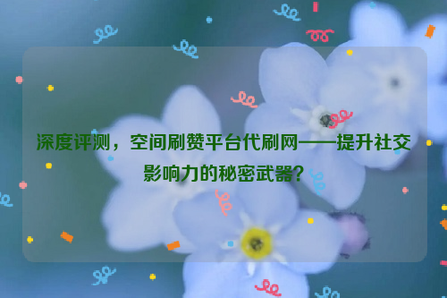 深度评测，空间刷赞平台代刷网——提升社交影响力的秘密武器？