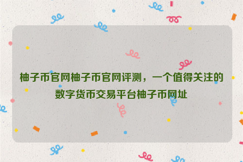 柚子币官网柚子币官网评测，一个值得关注的数字货币交易平台柚子币网址