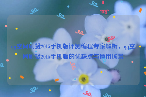 qq空间刷赞2015手机版评测编程专家解析，qq空间刷赞2015手机版的优缺点与适用场景