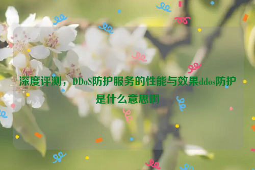 深度评测，DDoS防护服务的性能与效果ddos防护是什么意思啊