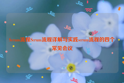 Scrum流程Scrum流程详解与实践scrum流程的四个常见会议