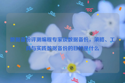 数据备份评测编程专家谈数据备份，策略、工具与实践数据备份的目的是什么