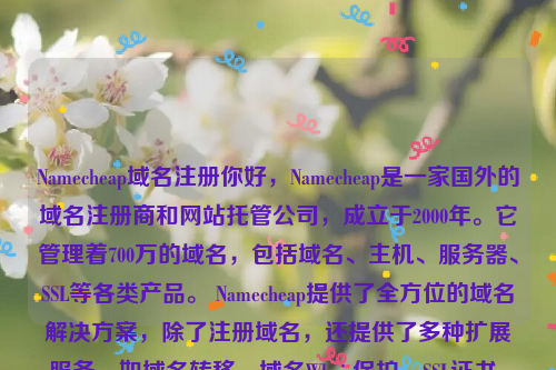 Namecheap域名注册你好，Namecheap是一家国外的域名注册商和网站托管公司，成立于2000年。它管理着700万的域名，包括域名、主机、服务器、SSL等各类产品。 Namecheap提供了全方位的域名解决方案，除了注册域名，还提供了多种扩展服务，如域名转移、域名Whois保护、SSL证书、虚拟主机和电子邮件等服务。namesilo域名注册