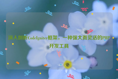 深入剖析CodeIgniter框架，一种强大而灵活的PHP开发工具