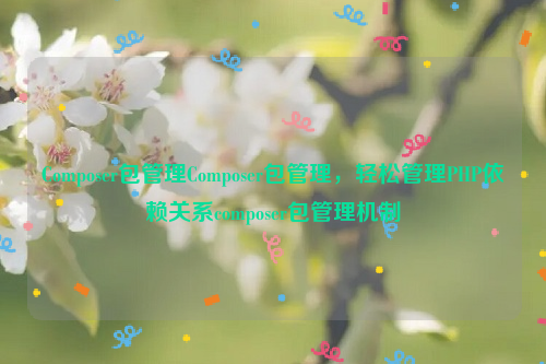 Composer包管理Composer包管理，轻松管理PHP依赖关系composer包管理机制