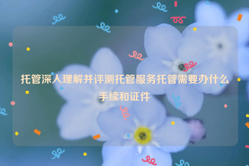 托管深入理解并评测托管服务托管需要办什么手续和证件