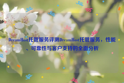 DreamHost托管服务评测DreamHost托管服务，性能、可靠性与客户支持的全面分析