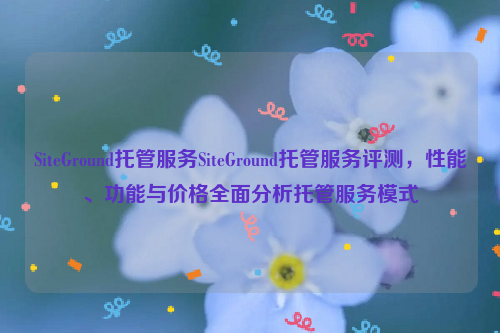 SiteGround托管服务SiteGround托管服务评测，性能、功能与价格全面分析托管服务模式