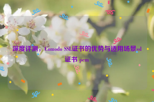 深度评测，Comodo SSL证书的优势与适用场景ssl证书 pem