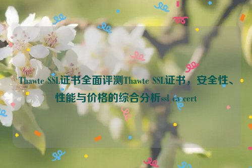 Thawte SSL证书全面评测Thawte SSL证书，安全性、性能与价格的综合分析ssl ca cert